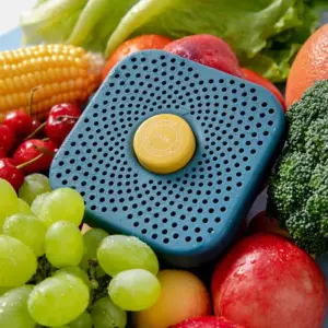 Refrigerator Deodorizer Fridge Air Purifier Deodorant Activated Carbon Box Bamboo Charcoal Odor Remover for Home Kitchen Cabinet